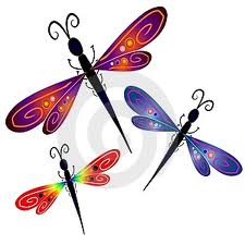 Butterflies, Dragonflies and Transformation